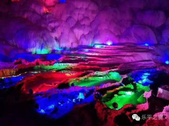 逃离蜥蜴森林